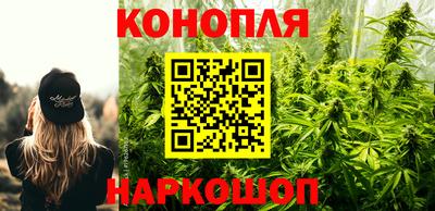 гашик Бузулук